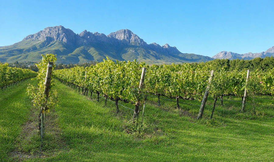 Winelands Tour Photo 1