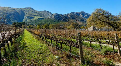 Winelands Tour Photo 6